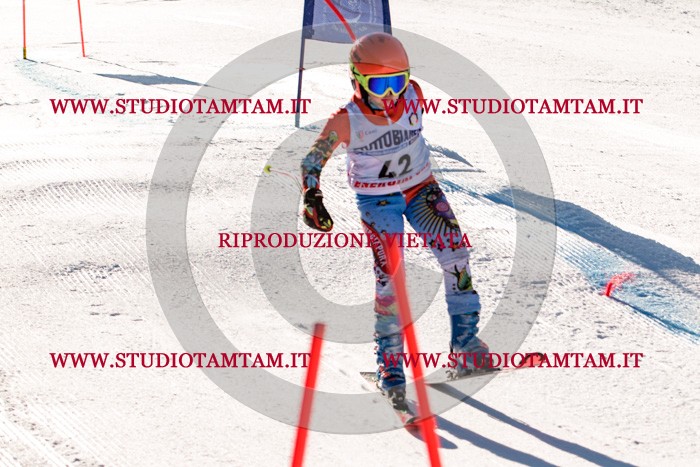 MAT_5485.jpg
