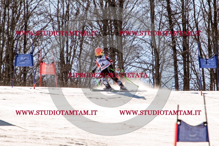 MAT_5487.jpg