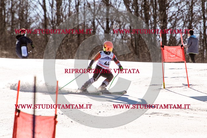 MAT_5488.jpg