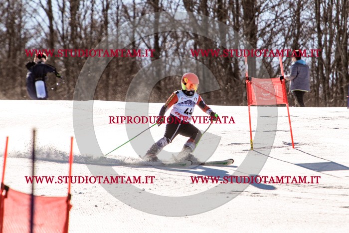 MAT_5489.jpg