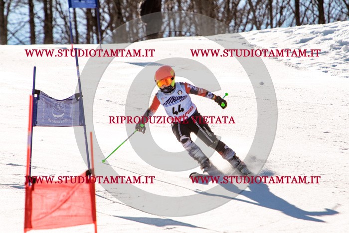 MAT_5490.jpg