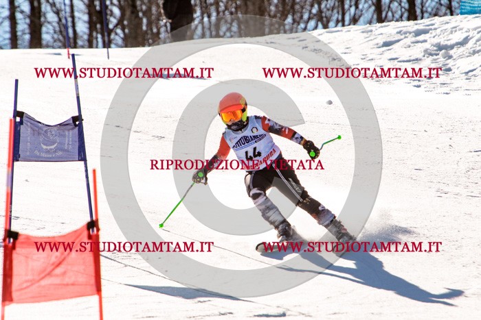 MAT_5491.jpg