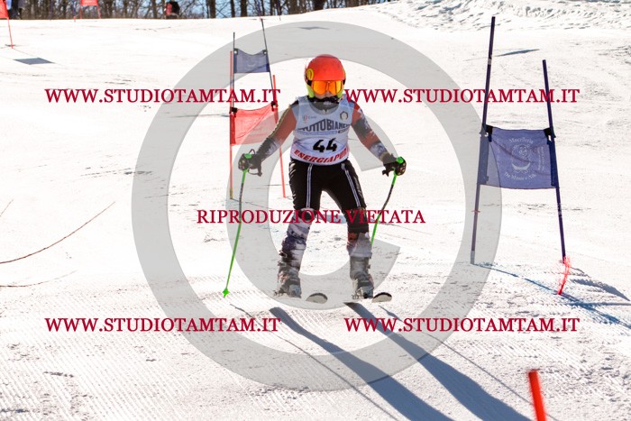 MAT_5493.jpg
