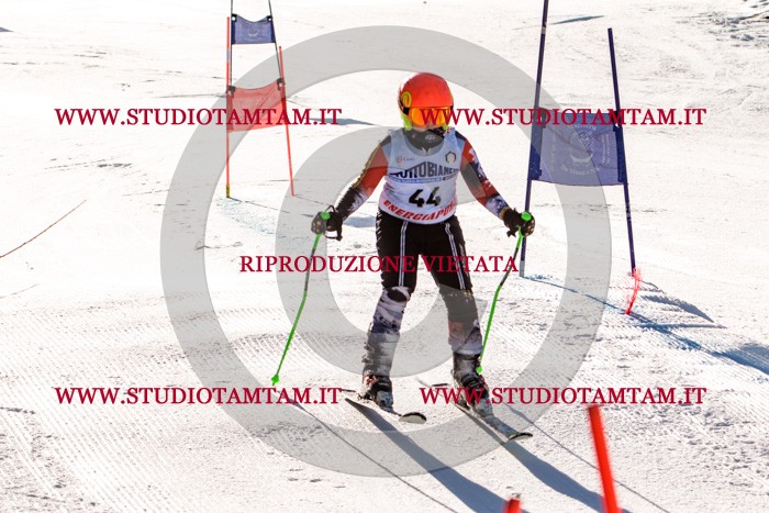 MAT_5494.jpg