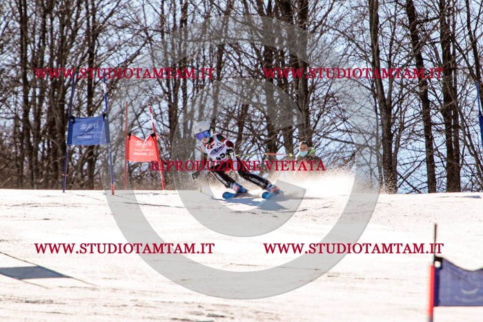 MAT_5495.jpg