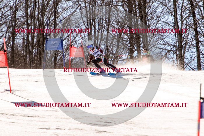 MAT_5496.jpg