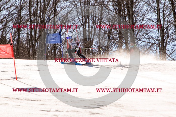 MAT_5497.jpg