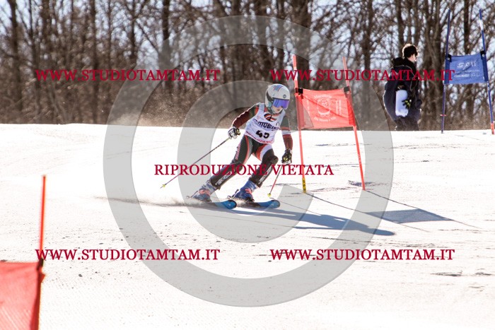 MAT_5499.jpg