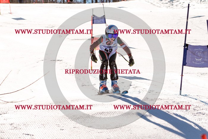 MAT_5503.jpg