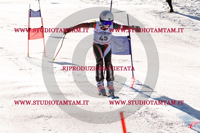 MAT_5505.jpg