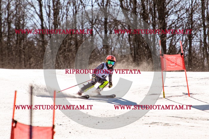 MAT_5508.jpg