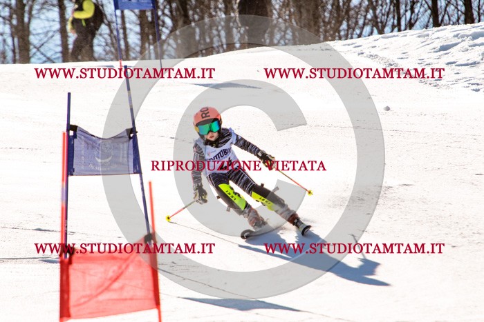 MAT_5511.jpg