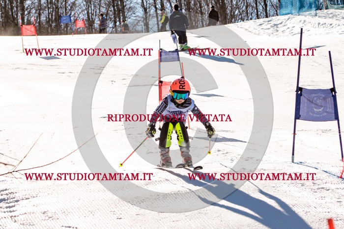 MAT_5513.jpg