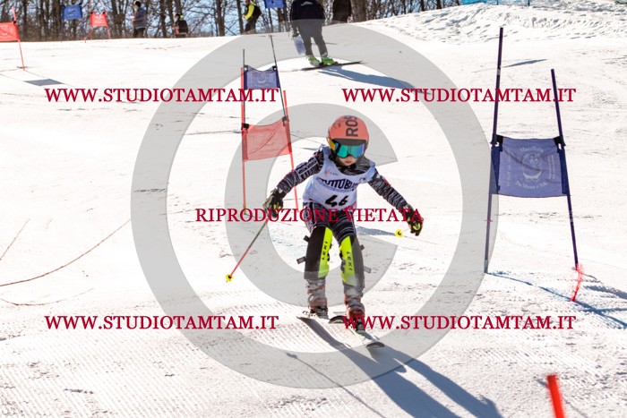 MAT_5514.jpg