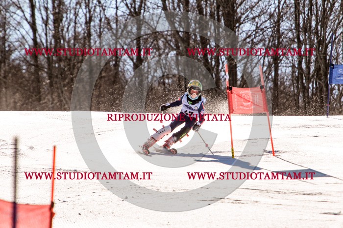 MAT_5519.jpg