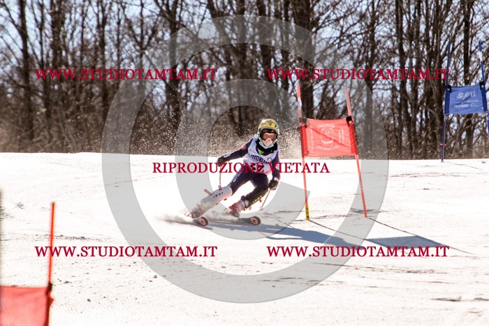 MAT_5520.jpg