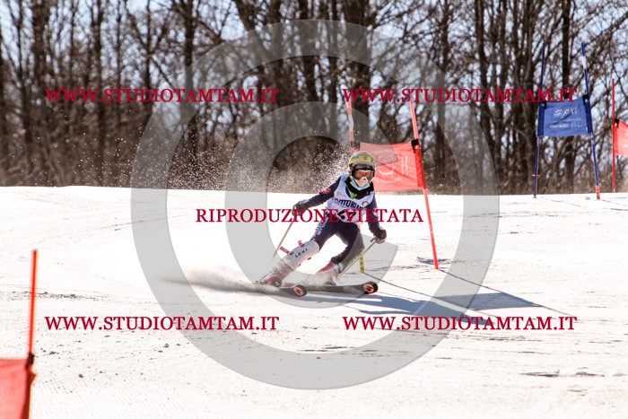 MAT_5521.jpg