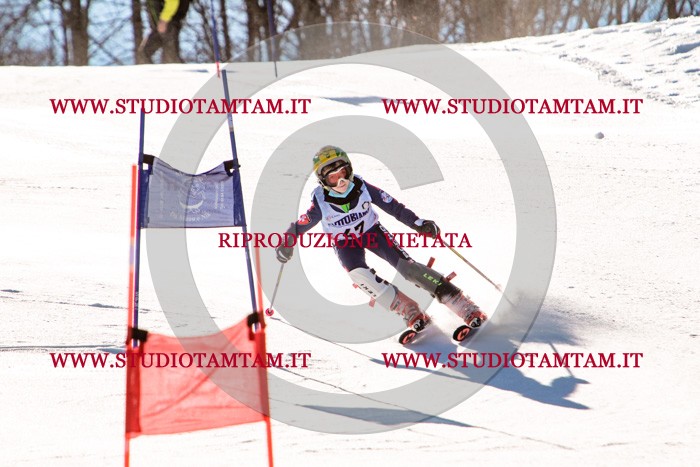 MAT_5522.jpg