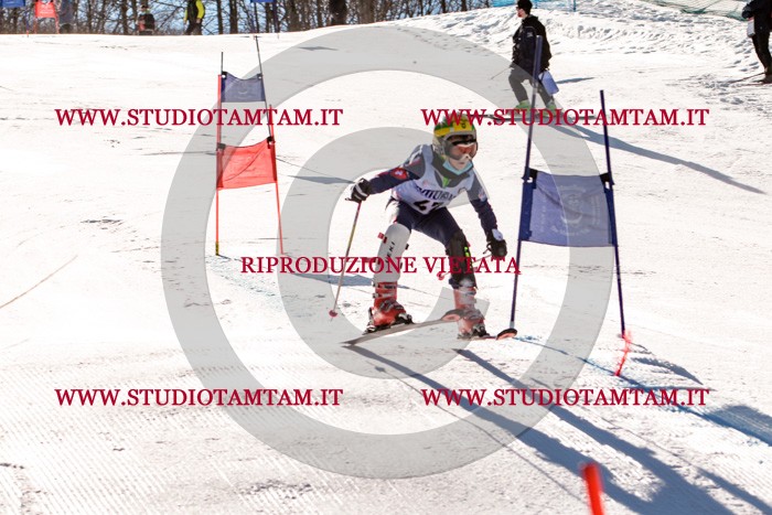 MAT_5525.jpg