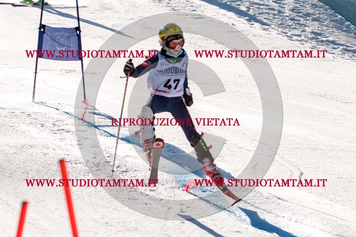 MAT_5527.jpg