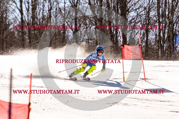 MAT_5530.jpg