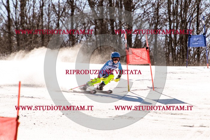MAT_5531.jpg