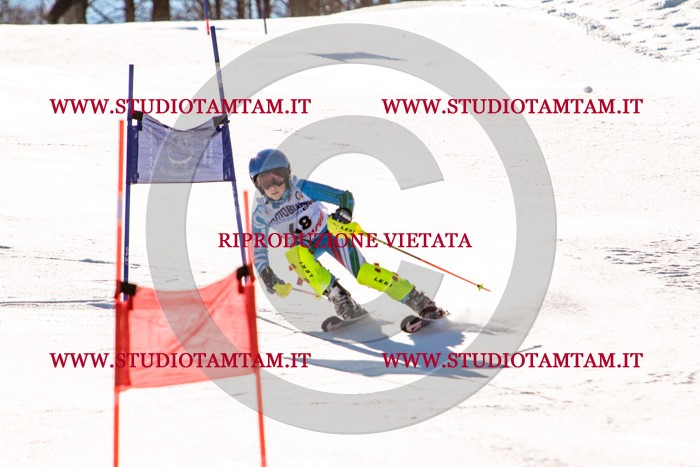 MAT_5534.jpg