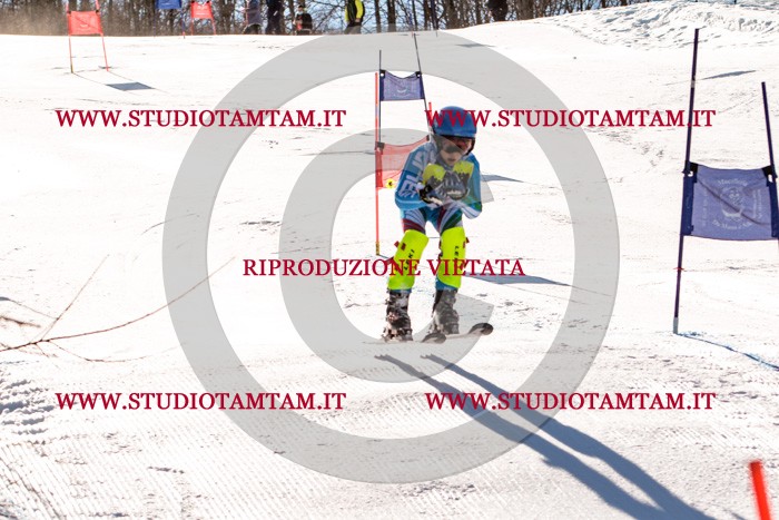 MAT_5535.jpg