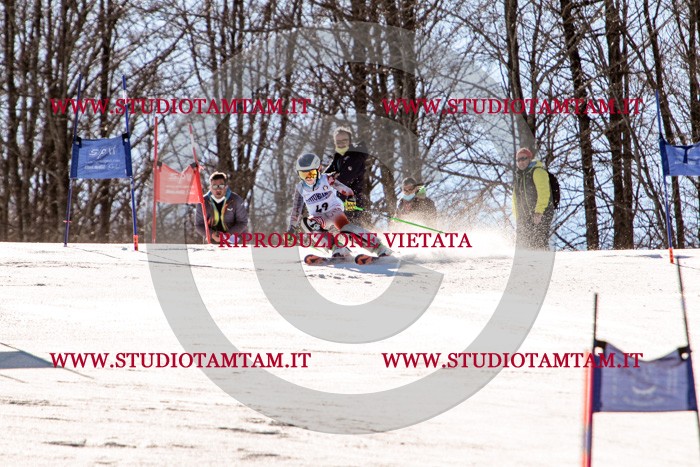 MAT_5539.jpg