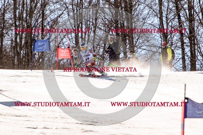 MAT_5540.jpg