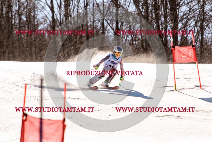 MAT_5541.jpg