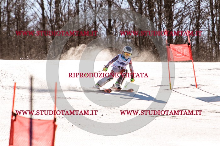 MAT_5542.jpg