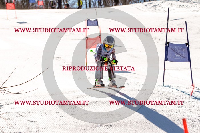 MAT_5547.jpg