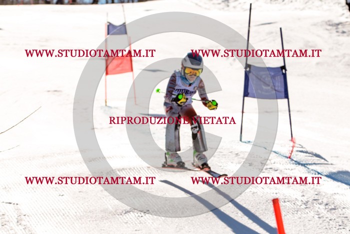 MAT_5548.jpg