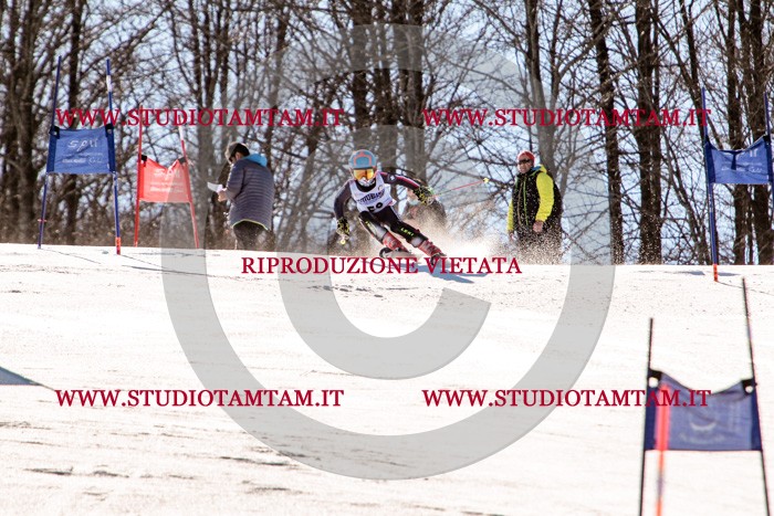 MAT_5550.jpg
