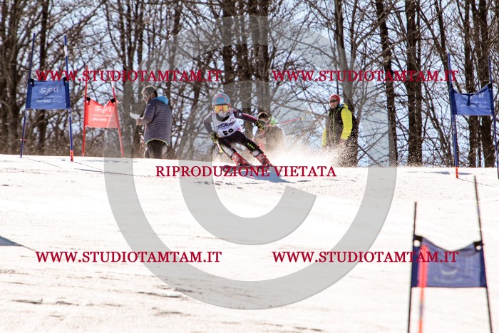 MAT_5551.jpg
