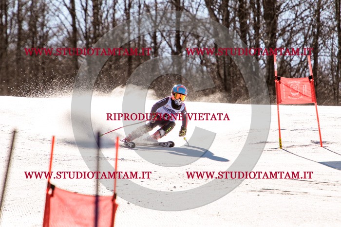 MAT_5553.jpg