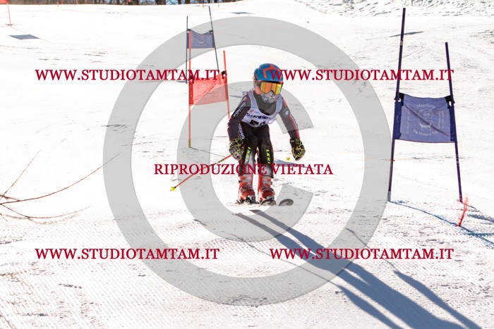 MAT_5559.jpg