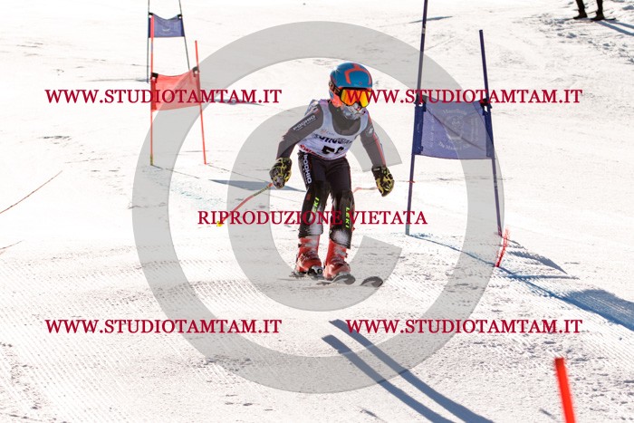 MAT_5560.jpg