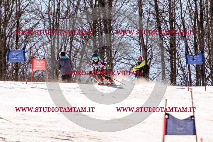 MAT_5563.jpg