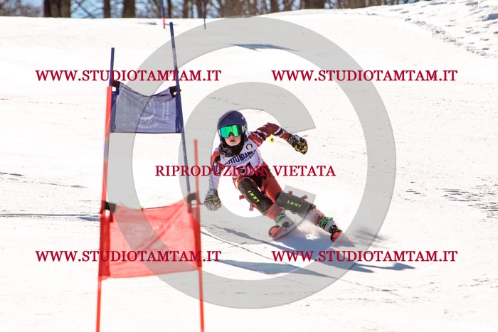 MAT_5567.jpg