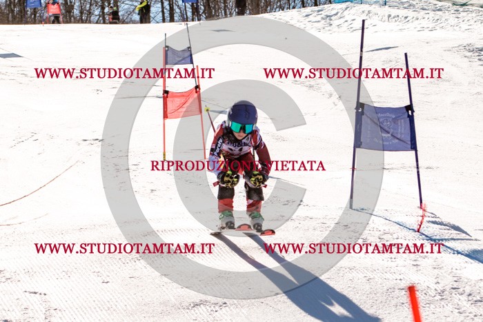 MAT_5570.jpg