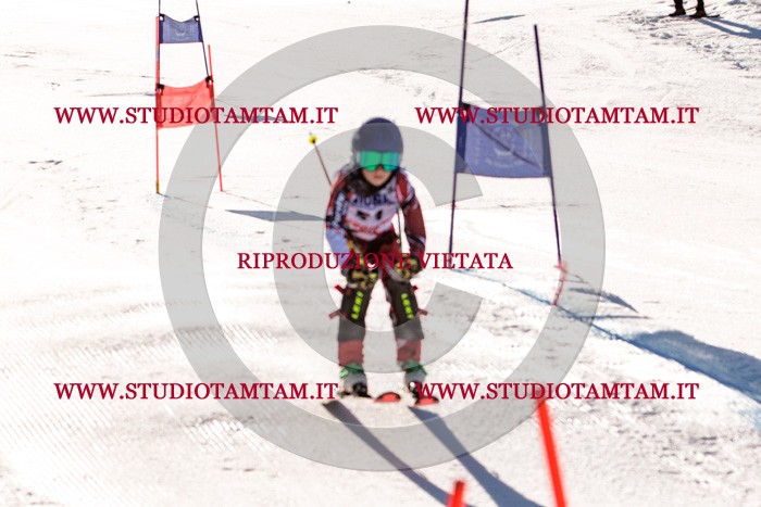 MAT_5571.jpg