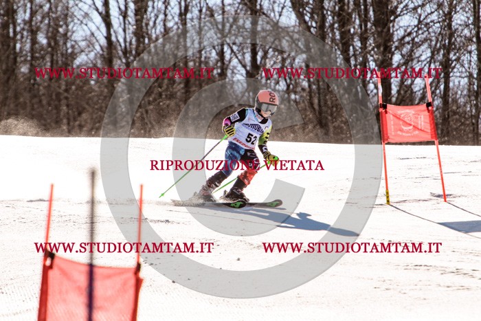 MAT_5574.jpg