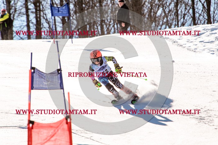 MAT_5576.jpg