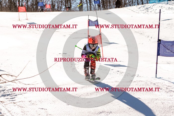 MAT_5579.jpg