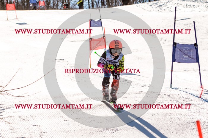 MAT_5580.jpg