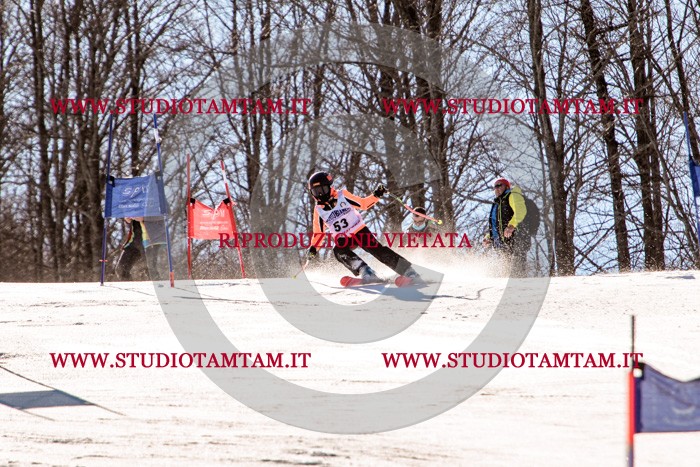 MAT_5582.jpg