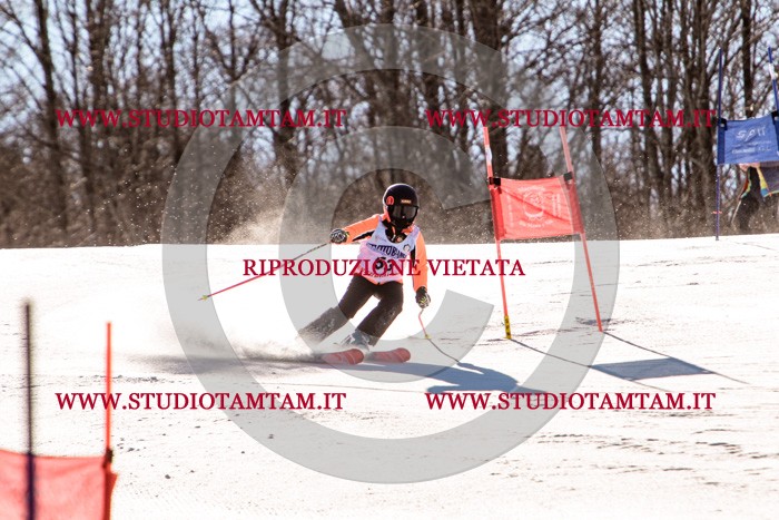 MAT_5586.jpg