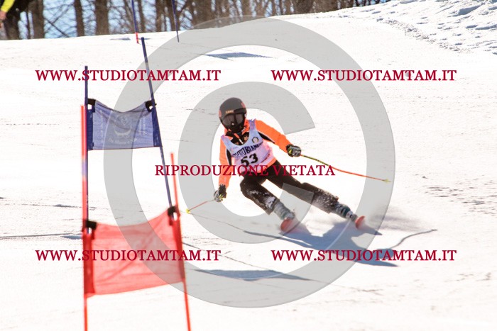 MAT_5587.jpg